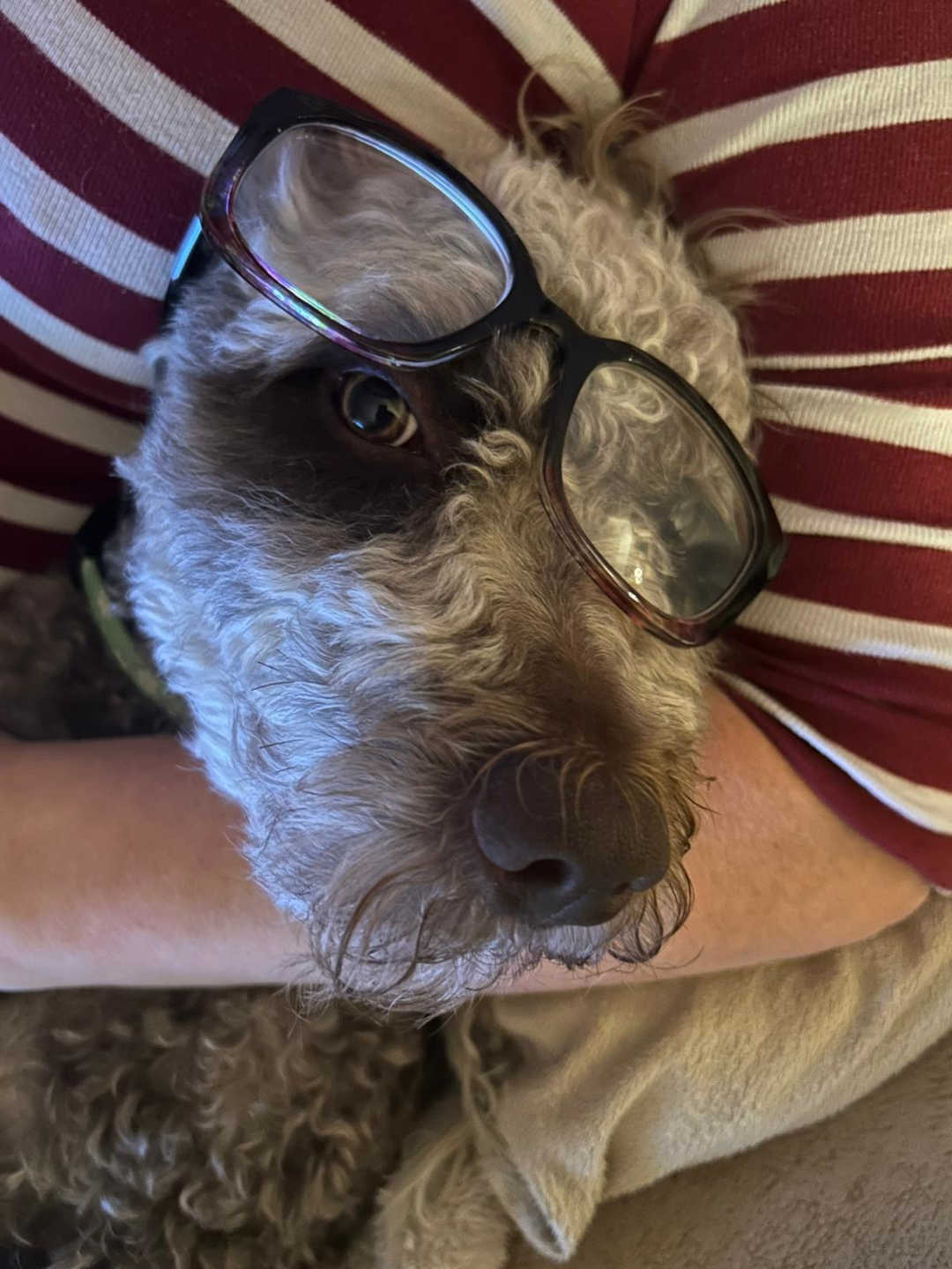 Wir haben den Durchblick